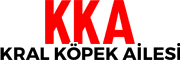 Kral Köpek Ailesi